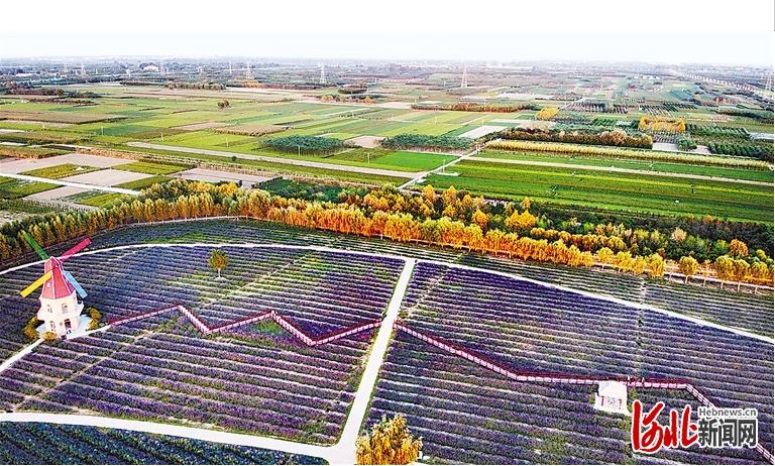 唐山一地入选中国民间文化艺术之乡7.jpg