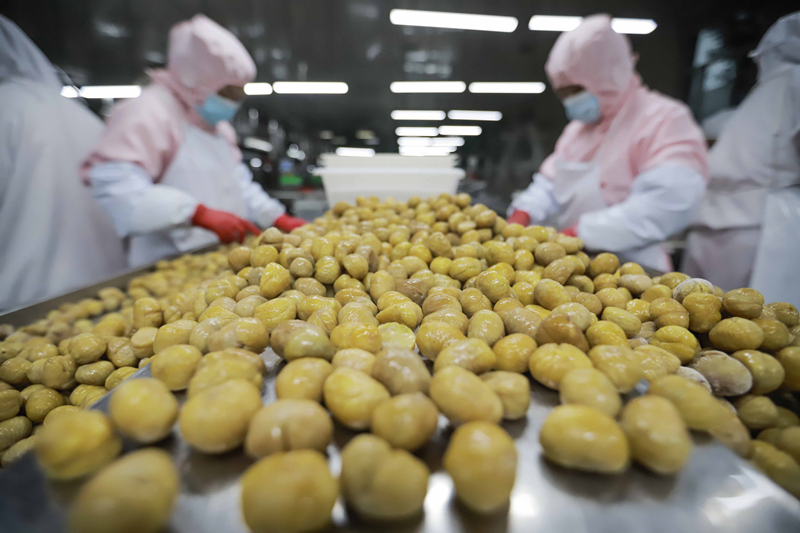 新华社聚焦丨遵化：助企纾困车间生产忙1.jpg