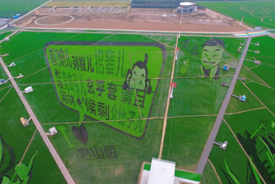 山里各庄稻田画即将迎来最佳观赏期8.jpg