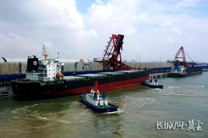 唐山打造大港口 “海洋+”质效齐升3.jpg