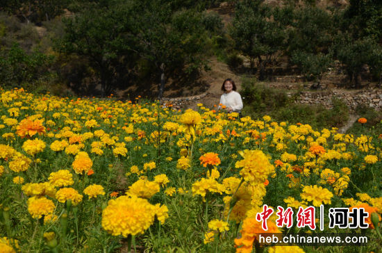 河北迁西：最美乡村入画来3.jpeg