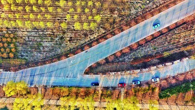 产业兴旺路2.jpg