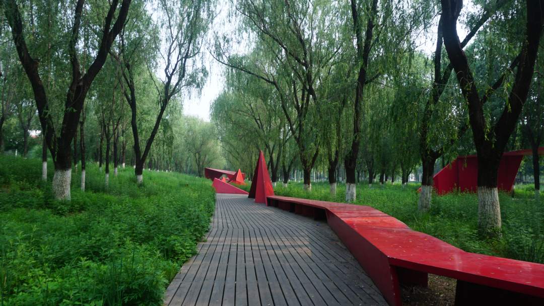 组图｜河北迁安：擘画国家生态园林城市新图景4.jpeg