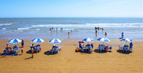 “钢城”唐山：推进生态治理扮靓美丽海湾1.jpg