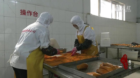河北滦南：红薯产业连接群众致富路3.jpg