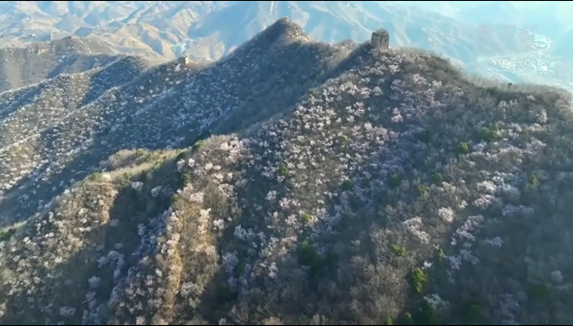 千城胜景｜河北迁西：巍峨古长城 醉美“桃花源”