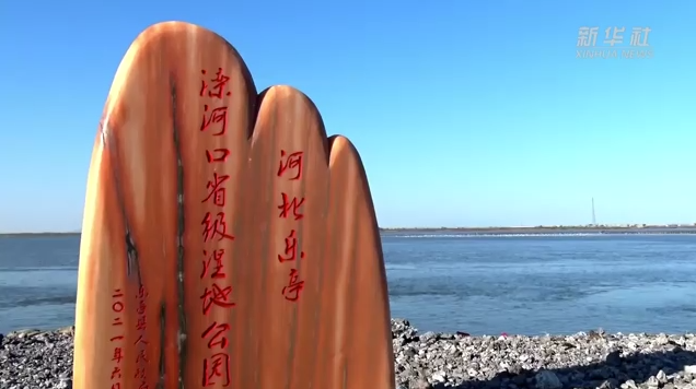 河北乐亭：水天一色 滦河美景如画