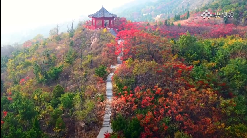 唐山滦州：研山红叶美如画 层林尽染秋意浓