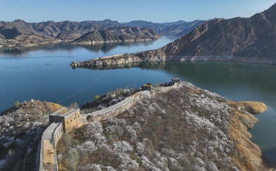 河北迁西：春花春水映长城1.jpg