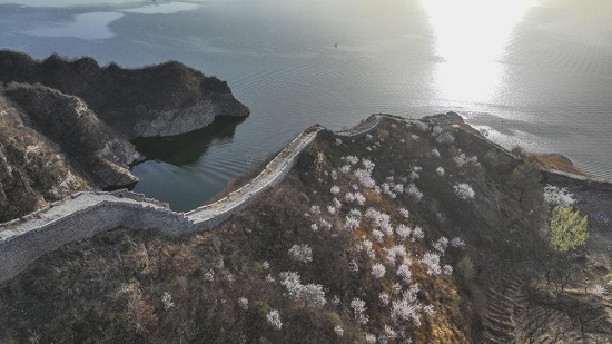 河北迁西：春花春水映长城3.jpg