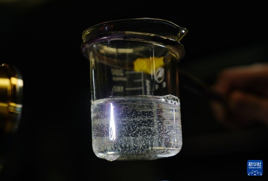 河北曹妃甸：中国对虾虾苗繁育忙4.jpg