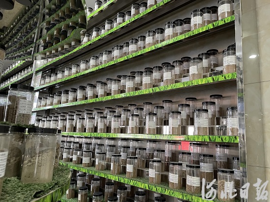 玉田：“全程社会化” 农业新场景6.jpeg