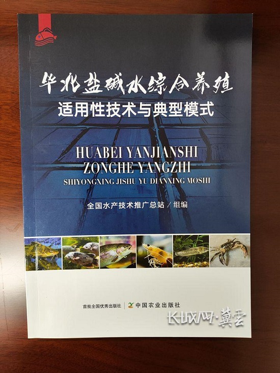 唐山：盐碱地改良走出新“稻”路5.jpg