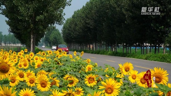 滦州：修好农村路 打开致富门1.jpg