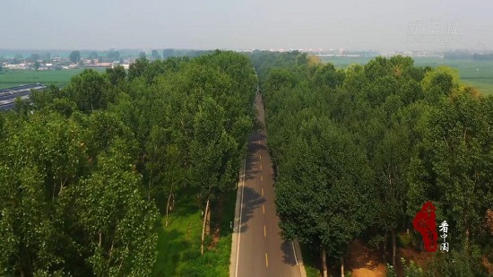 滦州：修好农村路 打开致富门2.jpg