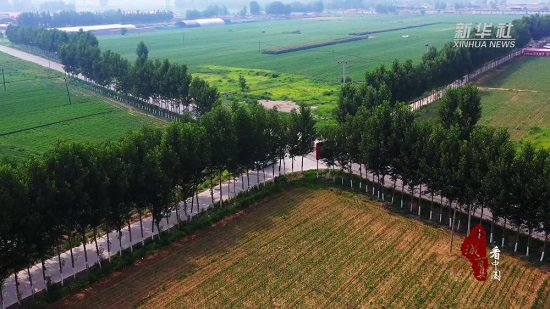滦州：修好农村路 打开致富门3.jpg
