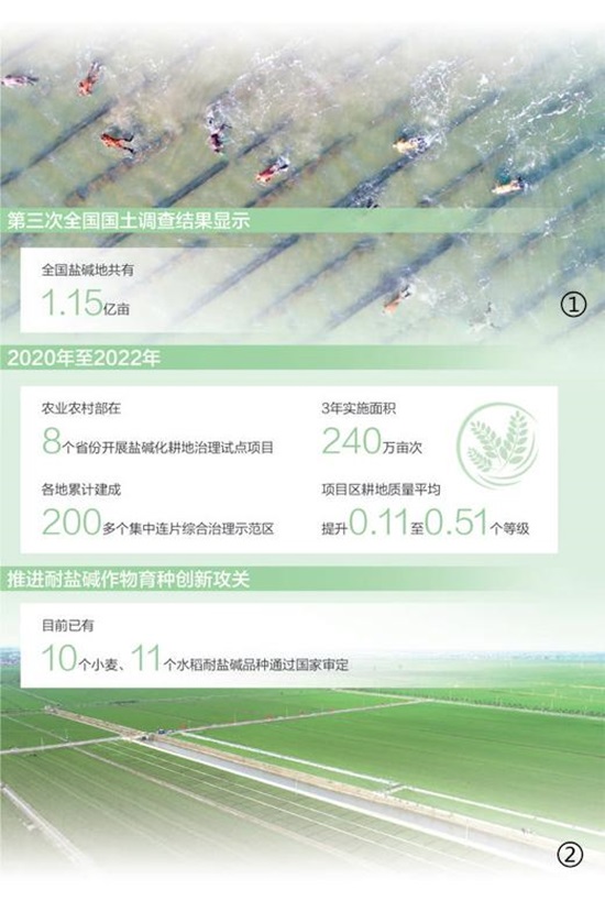《人民日报》报道乐亭县因地制宜梯次开展盐碱地改造利用：稻蟹共生 一田双收2.jpg