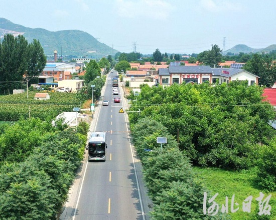 唐山：“农村公路+”，拓宽乡村经济圈3.jpeg