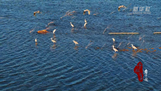 滦州：河清水蓝飞鸟舞2.png