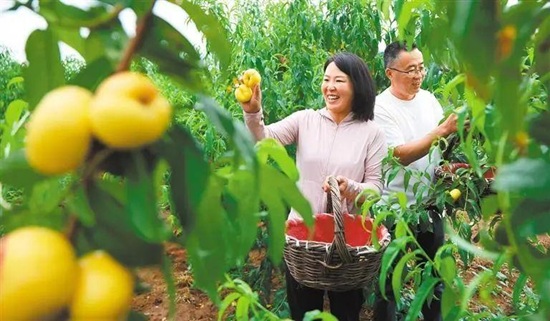 《经济日报》整版报道丨唐山逐绿5.jpg