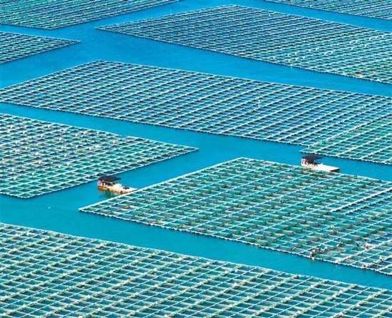 《经济日报》整版报道丨唐山逐绿7.jpg