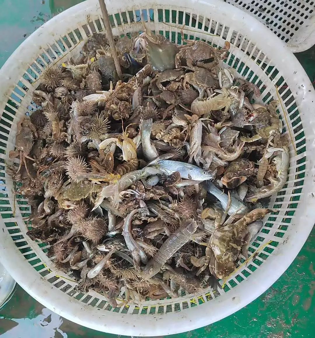 微信图片_2025-07-31_085545_309.jpg
