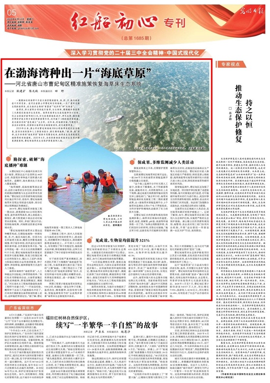 《光明日报》报道唐山丨在渤海湾种出一片“海底草原”1.jpg