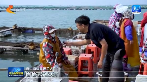 唐山：耕海牧渔迎丰收4.jpg