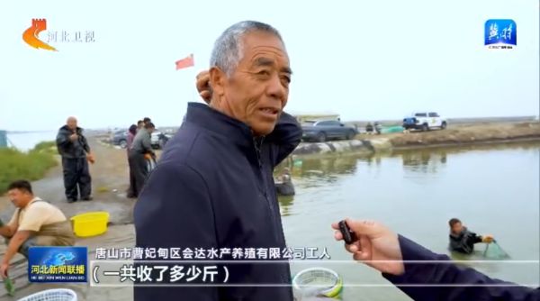 唐山：耕海牧渔迎丰收6.jpg