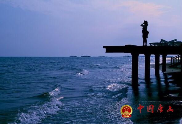 唐山湾国际旅游岛极速贷-借款攻略大全图片
