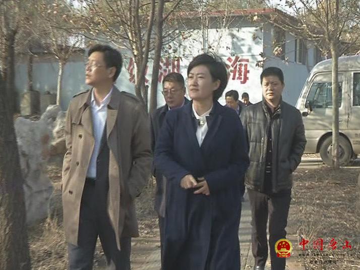 保利协鑫能源控股有限公司来古冶区投资考察-