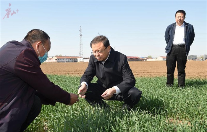 张古江在丰润区玉田县调研检查 田国良参加