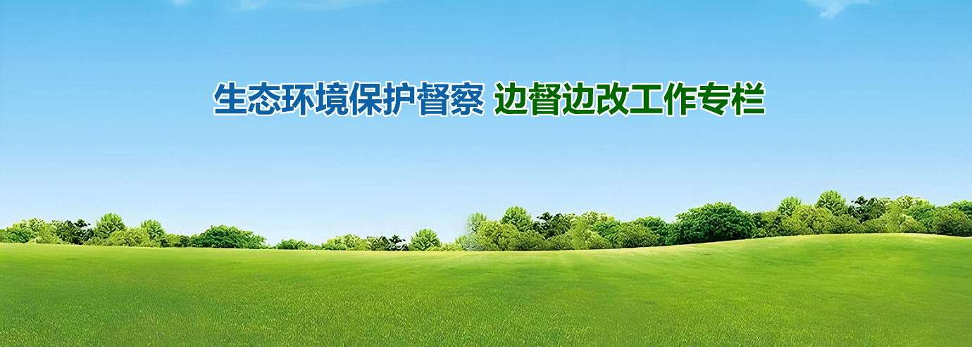 生态环境保护督察 边督边改工作专栏