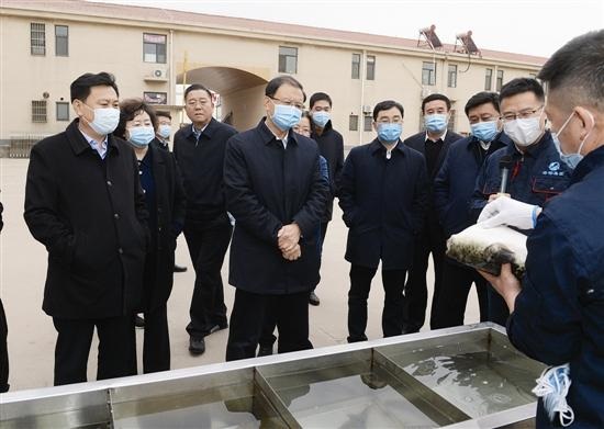 政务新闻市委常委,宣传部长杨洁,市委常委,曹妃甸区委书记孙贵石,市委