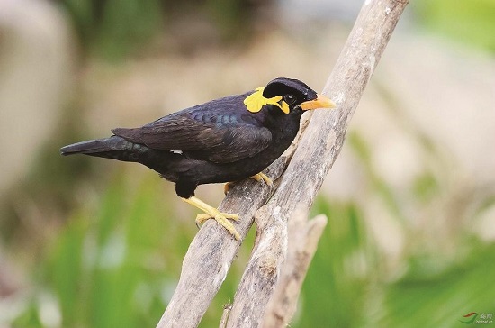 便民提示-唐山市人民政府